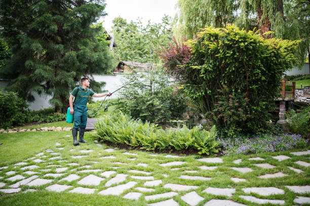 Best Pest Removal Services  in Kennedale, TX