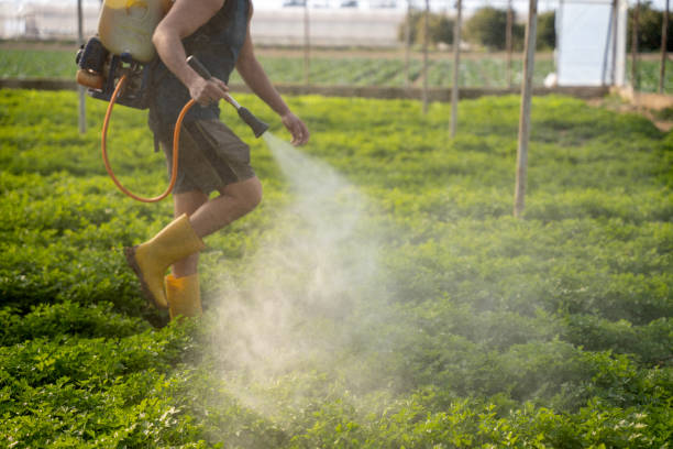 Best Exterminator Services  in Kennedale, TX