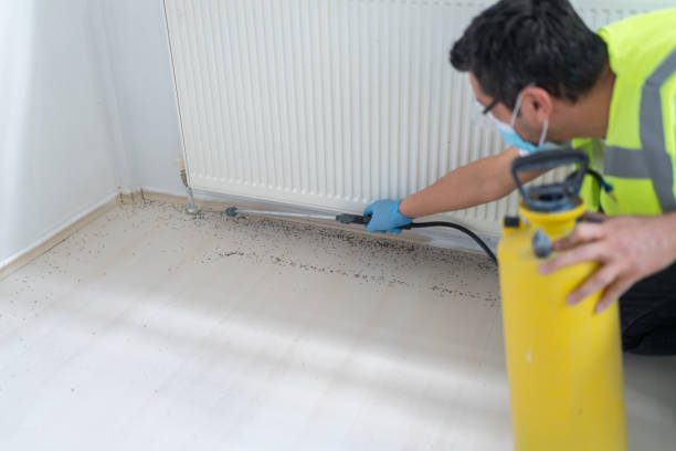 Best Affordable Pest Control Services  in Kennedale, TX
